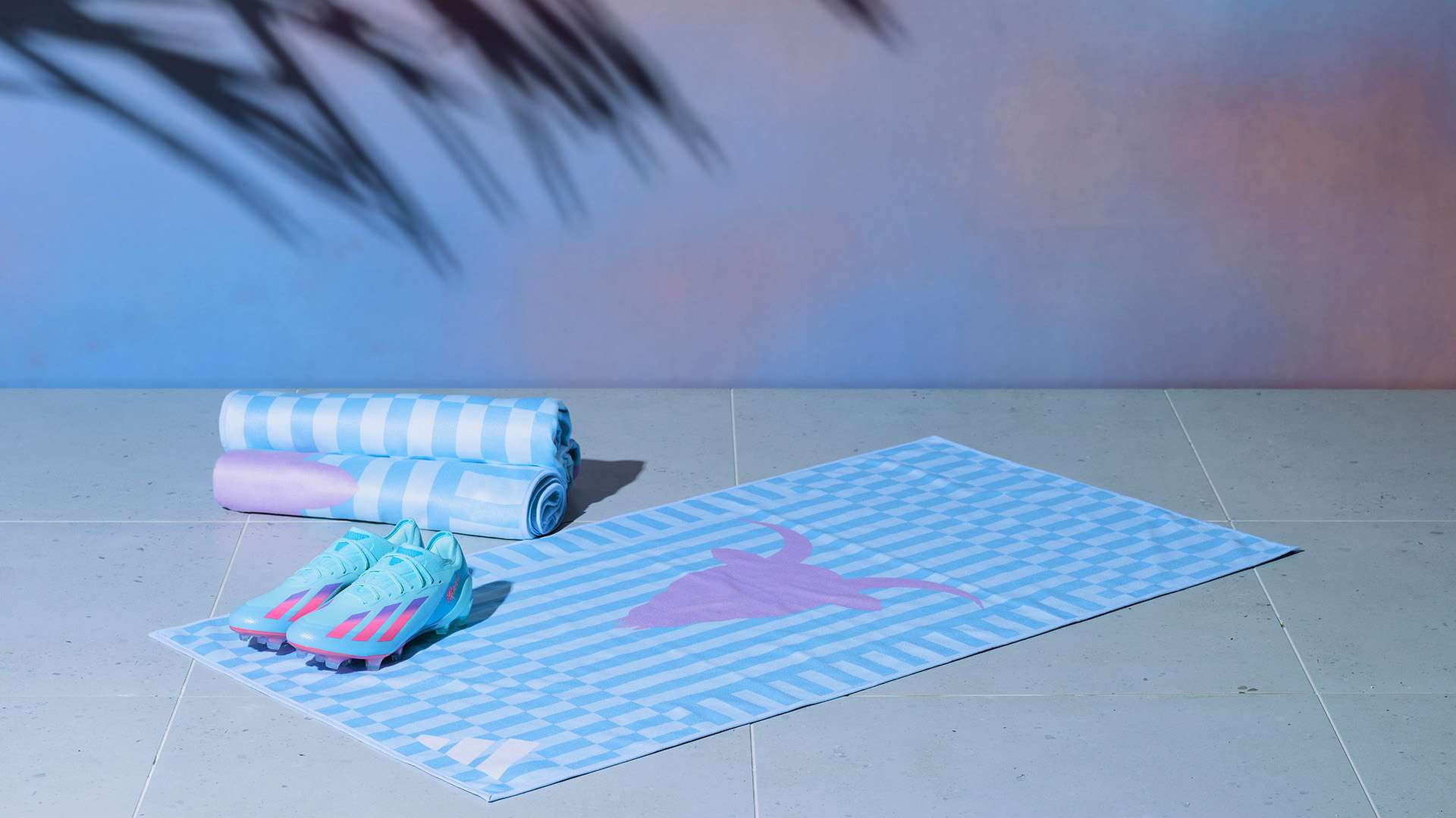 洲杯上连续 洲杯上连续